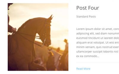 Divi Blog Extras: Full Width