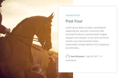 Divi Blog Extras: Box Extended