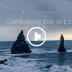 Capturing the Wild