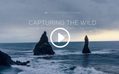 Capturing the Wild