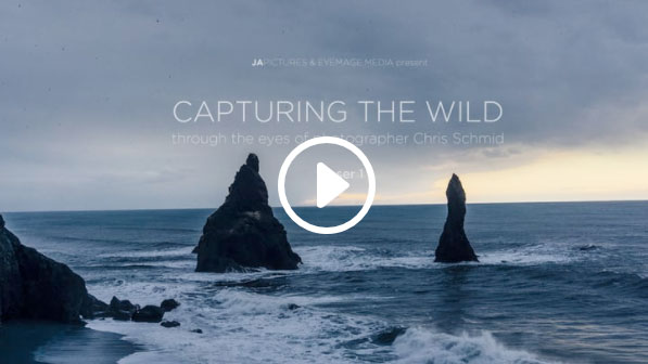 Capturing the Wild